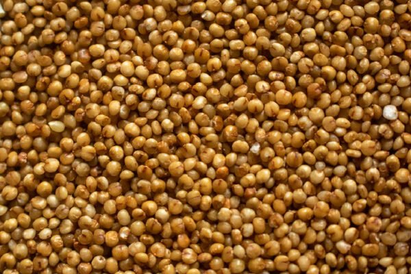 Kodo Millet – வரகு