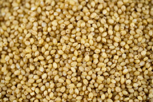 Foxtail Millet – தினை